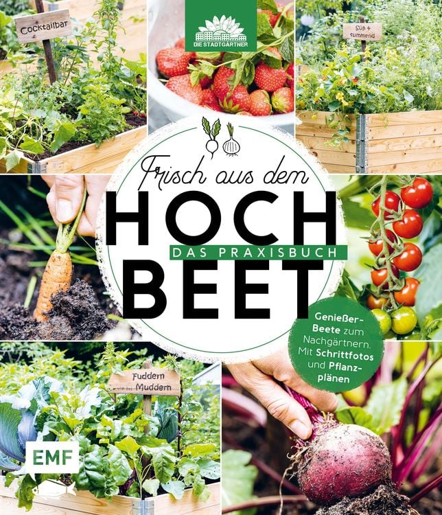 Produktbild: Frisch aus dem Hochbeet &ndash;&nbsp;Das Praxisbuch