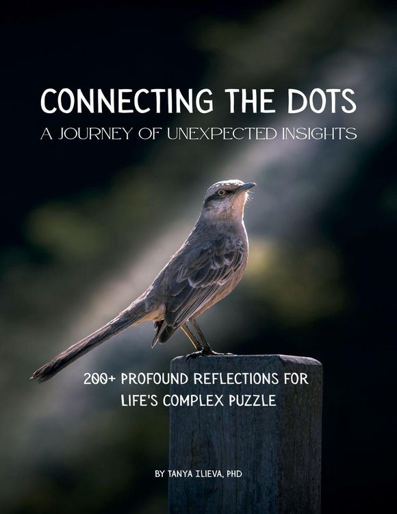Produktbild: Connecting the Dots