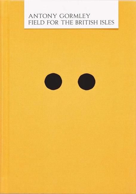 Produktbild: Antony Gormley: Field for the British Isles