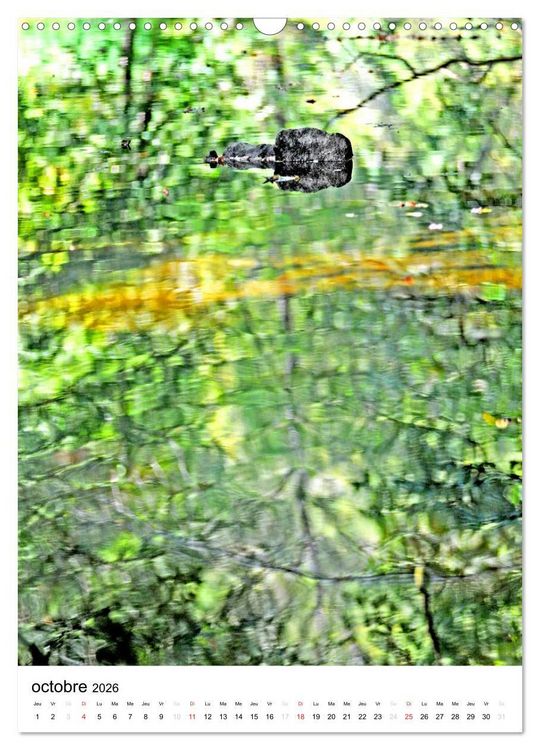 Produktbild: Reflets d'eau (Calendrier mural 2026 DIN A3 horizontal), CALVENDO calendrier mensuel