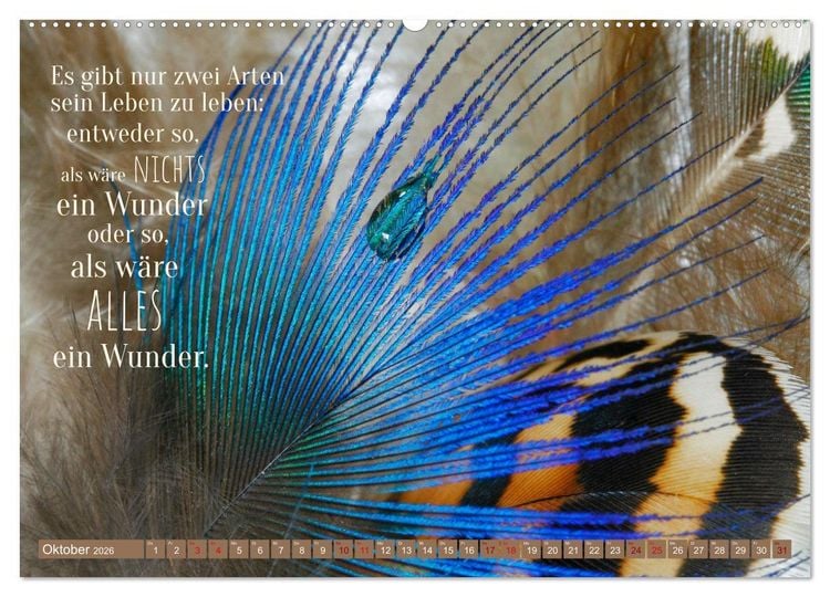 Produktbild: Jeder ist ein Genie! Zitate von Albert Einstein (hochwertiger Premium Wandkalender 2026 DIN A2 quer), Kunstdruck in Hochglanz