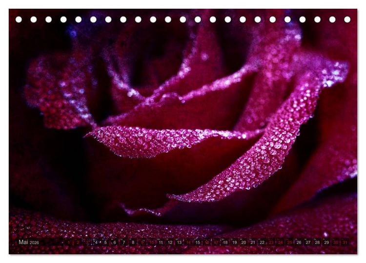 Produktbild: Gothic Rose - Rosen aus dem Garten der Finsternis (Tischkalender 2026 DIN A5 quer), CALVENDO Monatskalender