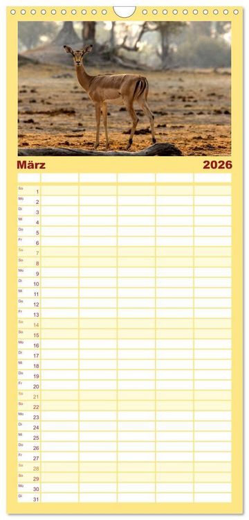 Produktbild: Familienplaner 2026 - Komm mit auf Safari! Botswana und S&uuml;dafrika mit 5 Spalten (Wandkalender, 21 x 45 cm) CALVENDO
