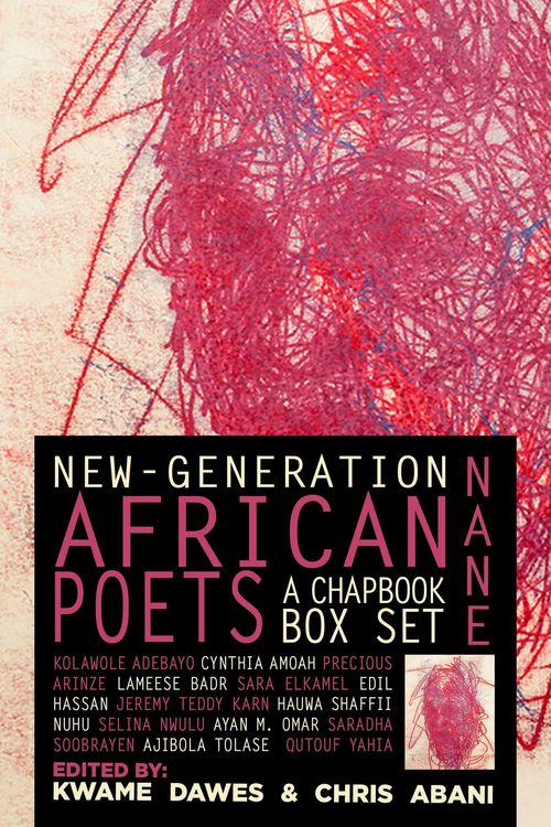 Produktbild: Nane: New-Generation African Poets