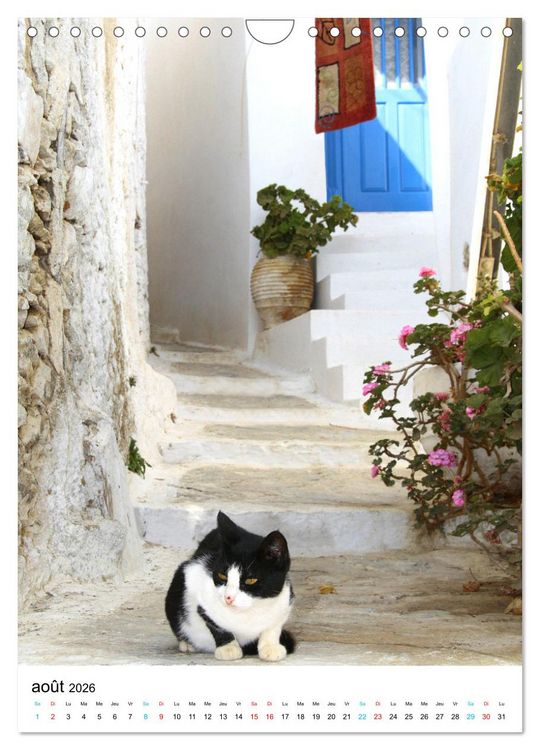 Produktbild: Souvenirs de Gr&egrave;ce (Calendrier mural 2026 DIN A4 horizontal), CALVENDO calendrier mensuel