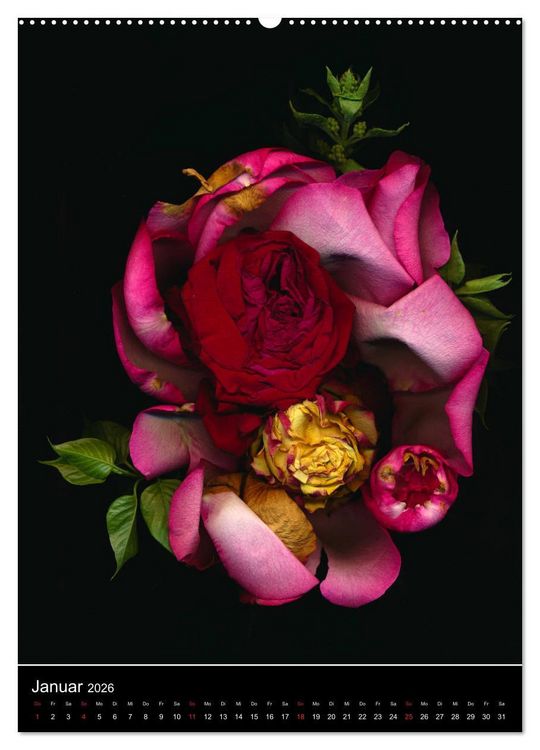 Produktbild: Blumen bei Nacht (hochwertiger Premium Wandkalender 2026 DIN A2 hoch), Kunstdruck in Hochglanz