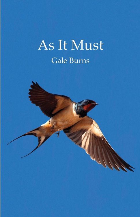 Produktbild: As It Must