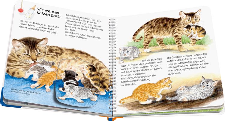 Produktbild: Die Katze / Wieso? Weshalb? Warum? Junior Bd. 21
