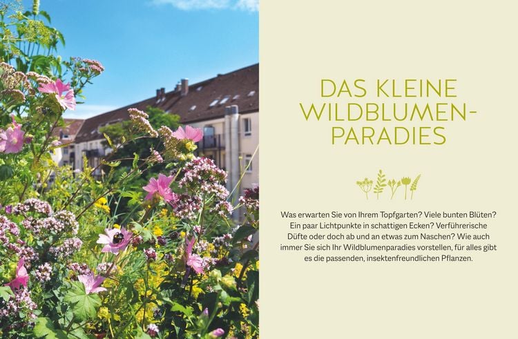 Produktbild: Wildblumen f&uuml;r Balkon und Terrasse