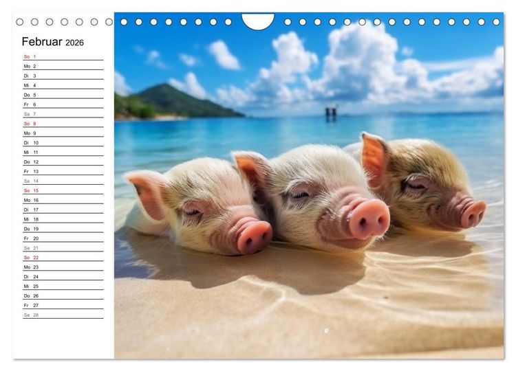 Produktbild: Schweinereien in der Karibik. Sonne und Spa&szlig; mit schwimmenden Schweinen (Wandkalender 2026 DIN A4 quer), CALVENDO Monatskalender