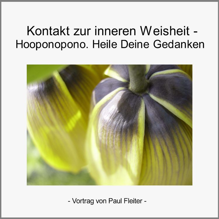 Produktbild: Kontakt zur inneren Weisheit & Hooponopono
