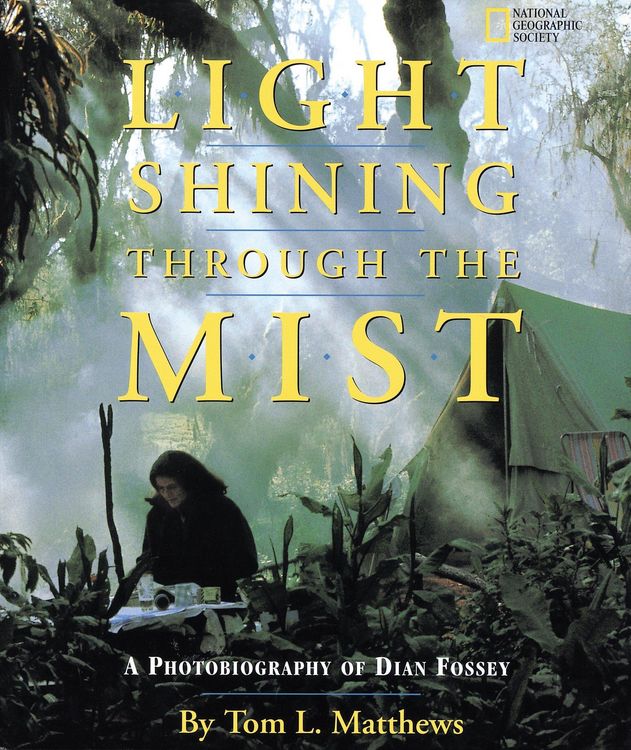 Produktbild: Light Shining Through the Mist