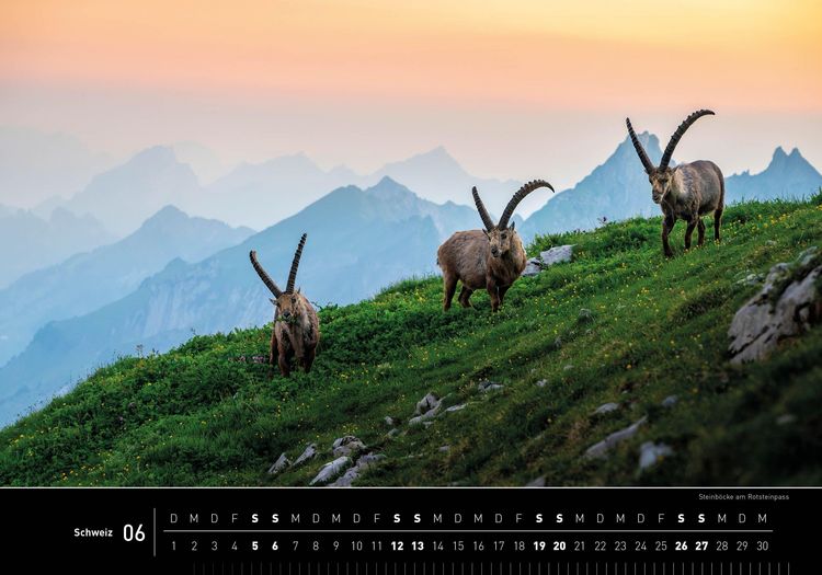 Produktbild: Schweiz Premiumkalender 2027