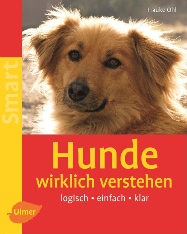 Produktbild: Hunde wirklich verstehen