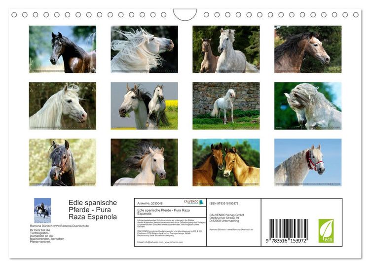Produktbild: Edle spanische Pferde - Pura Raza Espanola (Wandkalender 2026 DIN A4 quer), CALVENDO Monatskalender
