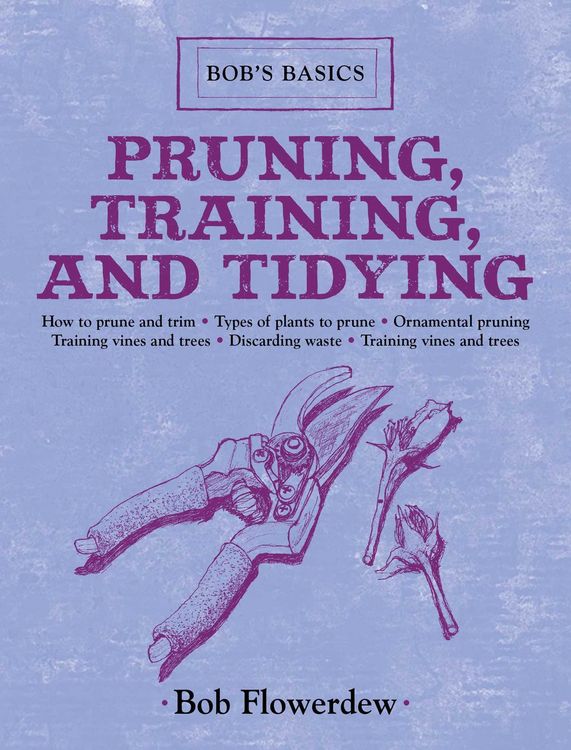 Produktbild: Pruning, Training, and Tidying