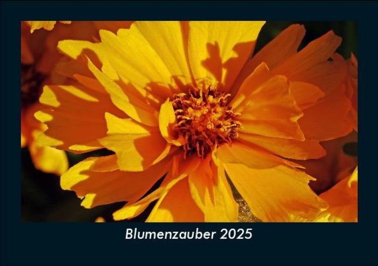 Produktbild: Blumenzauber 2025 Fotokalender DIN A5