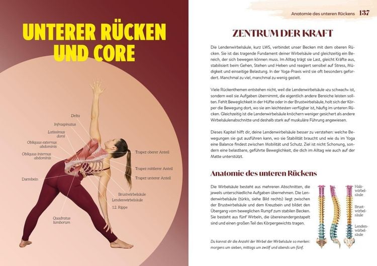 Produktbild: Easy Yoga-Anatomie