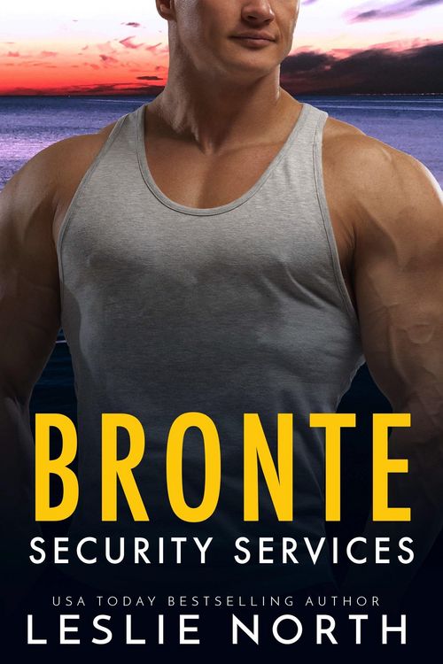 Produktbild: Bronte Security Services