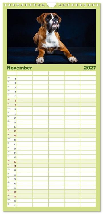 Produktbild: Familienplaner 2027 - Wenn ich gro&szlig; bin werd' ich Boxer mit 5 Spalten (Wandkalender, 21 x 45 cm) CALVENDO