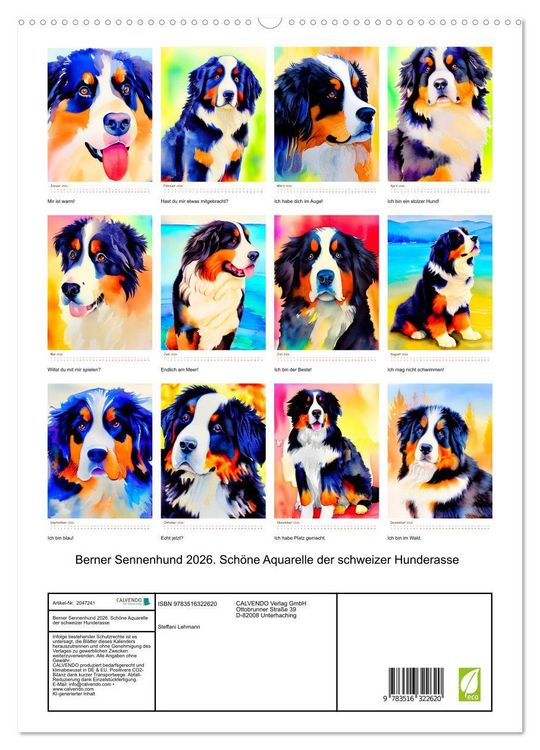 Produktbild: Berner Sennenhund 2026. Sch&ouml;ne Aquarelle der schweizer Hunderasse (hochwertiger Premium Wandkalender 2026 DIN A2 hoch), Kunstdruck in Hochglanz