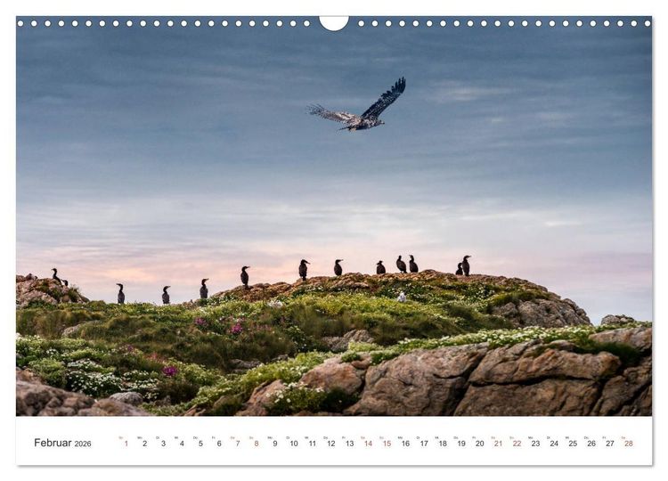 Produktbild: Nordland &ndash; Die Weite Skandinaviens (Wandkalender 2026 DIN A3 quer), CALVENDO Monatskalender
