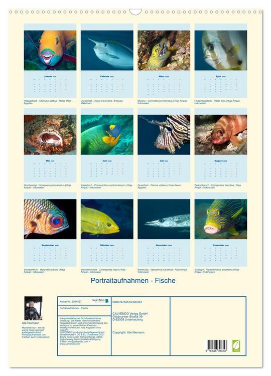 Produktbild: Portraitaufnahmen - Fische (Wandkalender 2026 DIN A2 hoch), CALVENDO Monatskalender