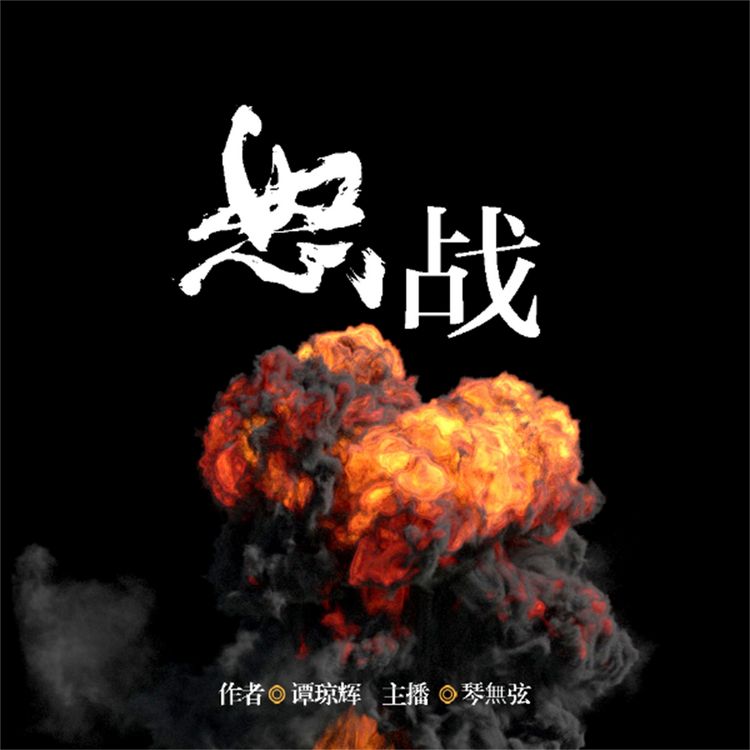 Produktbild: 怒战