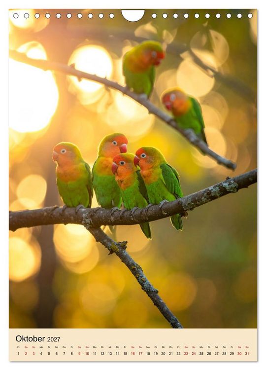 Produktbild: Lovebirds Harmonie (Wandkalender 2027 DIN A4 hoch), CALVENDO Monatskalender