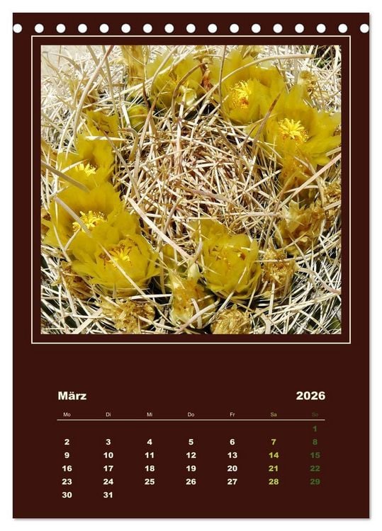 Produktbild: Wilde Kakteen Amerikas (Tischkalender 2026 DIN A5 hoch), CALVENDO Monatskalender