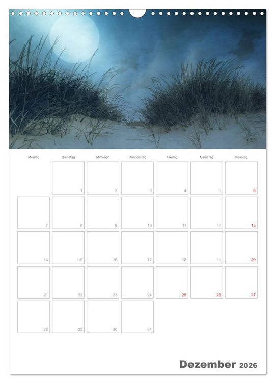 Produktbild: D&auml;nemarks Westk&uuml;ste (Wandkalender 2026 DIN A3 hoch), CALVENDO Monatskalender