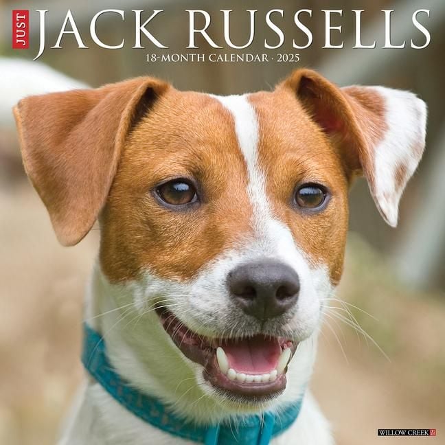 Produktbild: Jack Russells 2026 Wall Calendar