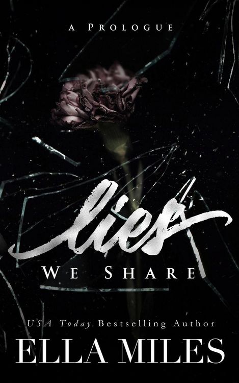 Produktbild: Lies We Share