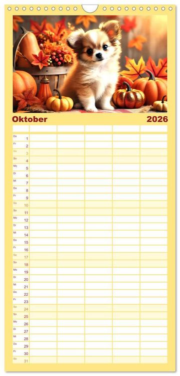 Produktbild: Familienplaner 2026 - Chihuahua-Welpen &ndash; Kleine Wunder mit 5 Spalten (Wandkalender, 21 x 45 cm) CALVENDO