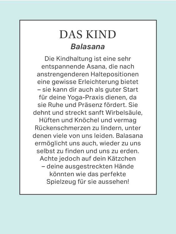 Produktbild: Yoga mit Katze