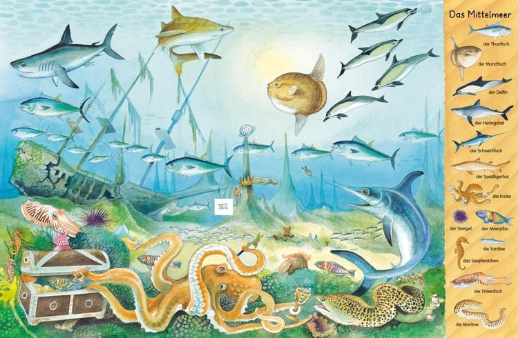 Produktbild: Mein erstes Wimmelbuch: Am Meer