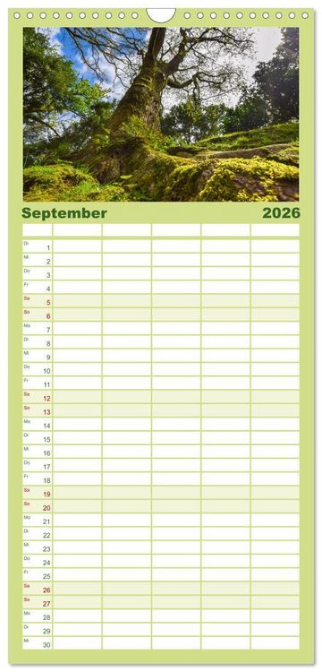 Produktbild: Familienplaner 2026 - Azoreninsel S&atilde;o Miguel mit 5 Spalten (Wandkalender, 21 x 45 cm) CALVENDO