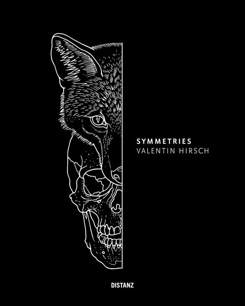 Produktbild: Symmetries