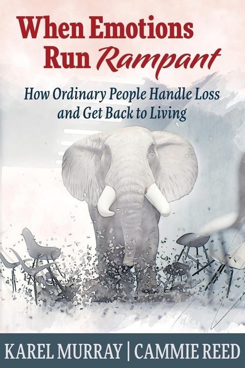 Produktbild: When Emotions Run Rampant
