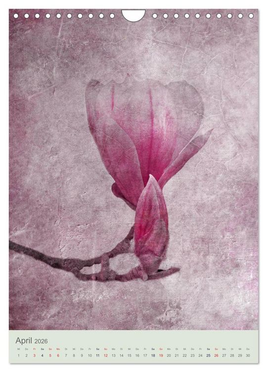 Produktbild: Flora (Wandkalender 2026 DIN A4 hoch), CALVENDO Monatskalender