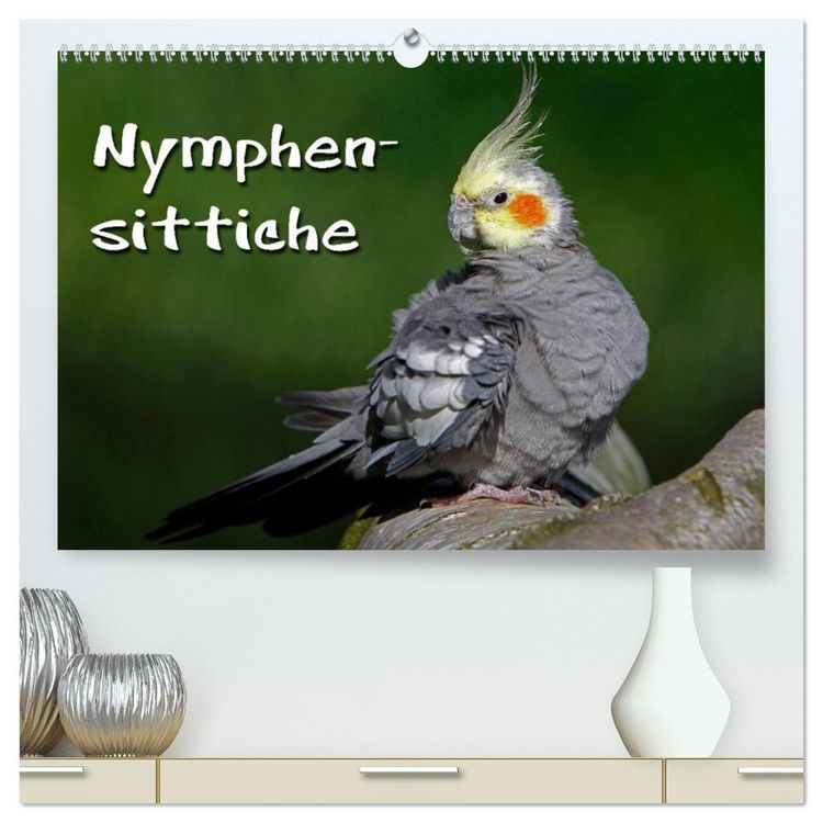Produktbild: Nymphensittiche (hochwertiger Premium Wandkalender 2026 DIN A2 quer), Kunstdruck in Hochglanz