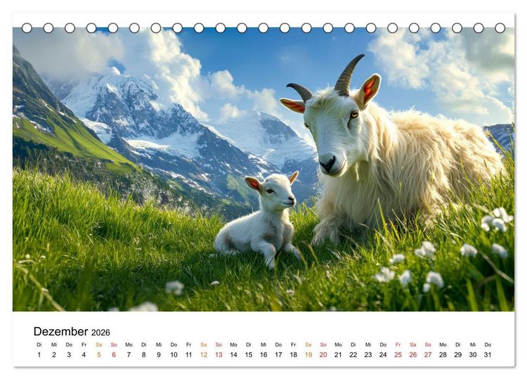 Produktbild: Ziegen - Bocksprung durch das Jahr (Tischkalender 2026 DIN A5 quer), CALVENDO Monatskalender