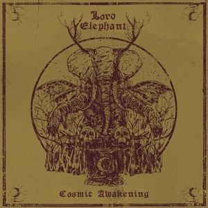 Produktbild: Cosmic Awakening
