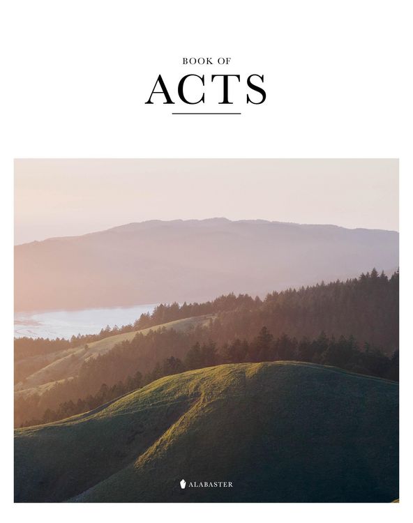 Produktbild: Book of Acts (Sc, Nlt)
