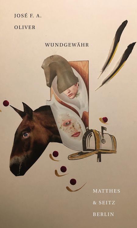 Produktbild: wundgew&auml;hr