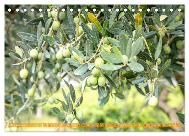 Produktbild: Valpolicella (Tischkalender 2026 DIN A5 quer), CALVENDO Monatskalender
