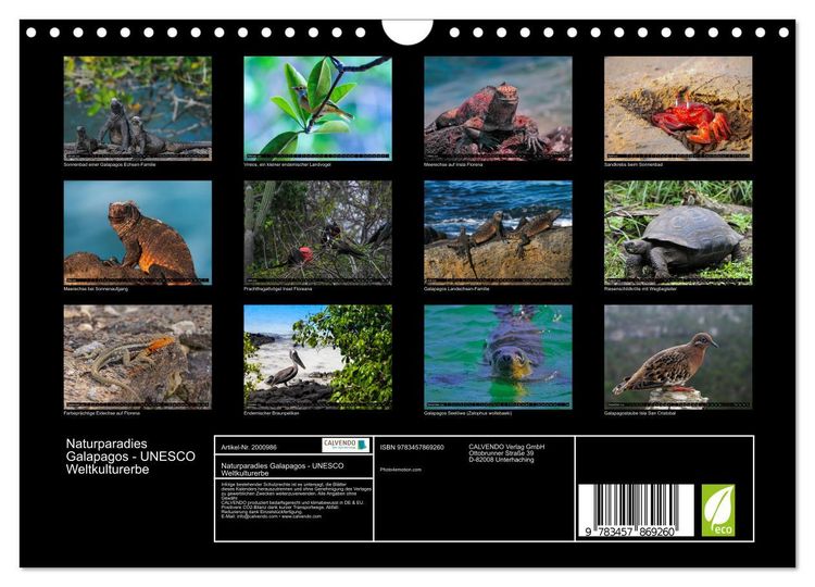 Produktbild: Naturparadies Galapagos - UNESCO Weltkulturerbe (Wandkalender 2026 DIN A4 quer), CALVENDO Monatskalender