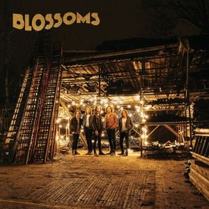 Produktbild: Blossoms (Vinyl)