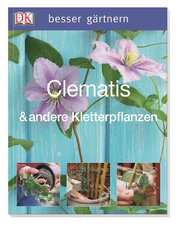 Produktbild: Clematis & andere Kletterpflanzen