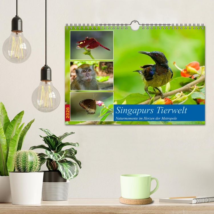 Produktbild: Singapurs Tierwelt (Wandkalender 2026 DIN A4 quer), CALVENDO Monatskalender